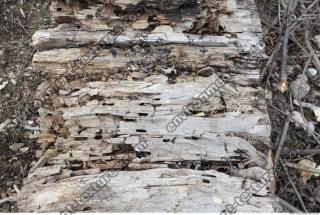 Photo of Various Textures